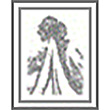 ST沪科logo
