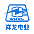 祥龙电业logo